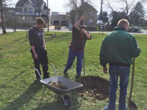 Arbeitseinsatz-04-2016 (38).jpg