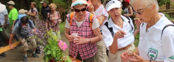 Wandern "Links und Rechts der Göltzsch"