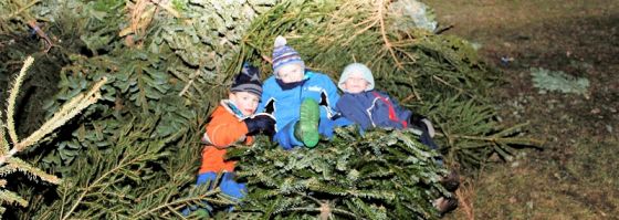 10. KNUT-FEST in Grünbach