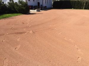 Arbeitseinsatz-04-2016 (37).jpg