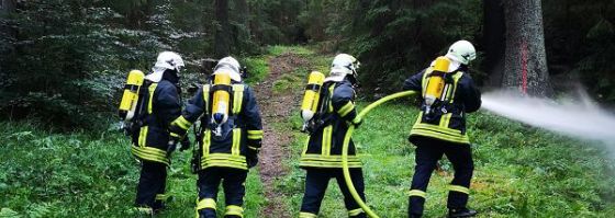 Einsatzübung Waldbrand