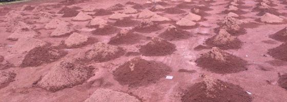 Arbeitseinsatz Feuerwehr