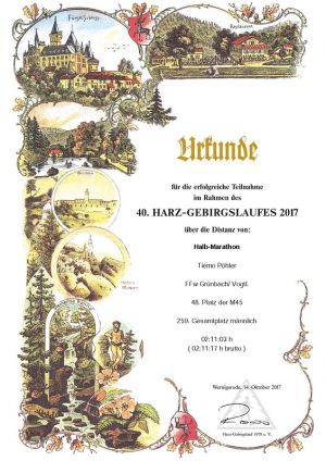 k-tiemo-harz-gebirgslauf-2017.jpg