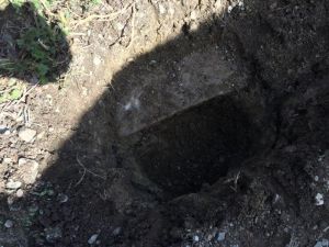 Arbeitseinsatz-04-2016 (15).jpg