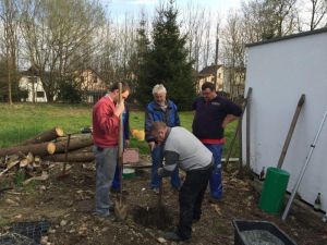 Arbeitseinsatz-04-2016 (9).jpg