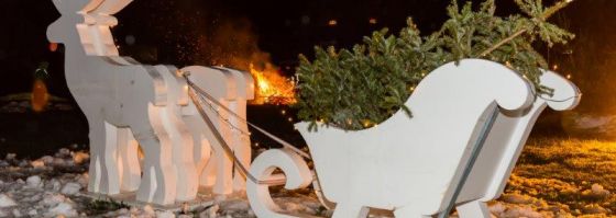 7. KNUT-Fest wurde zum Höhepunkt